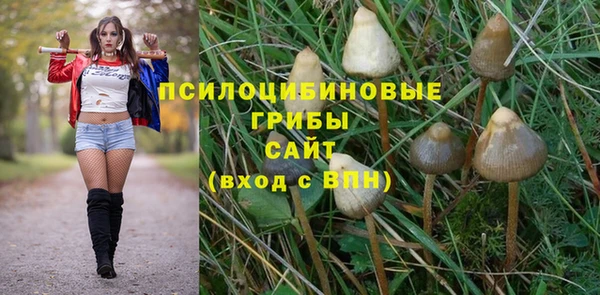 эйфоретик Алексин