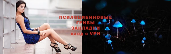 бошки Алексеевка