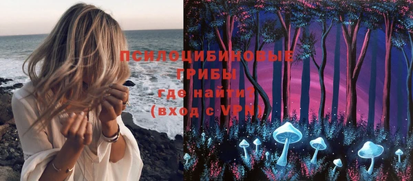 эйфоретик Алексин